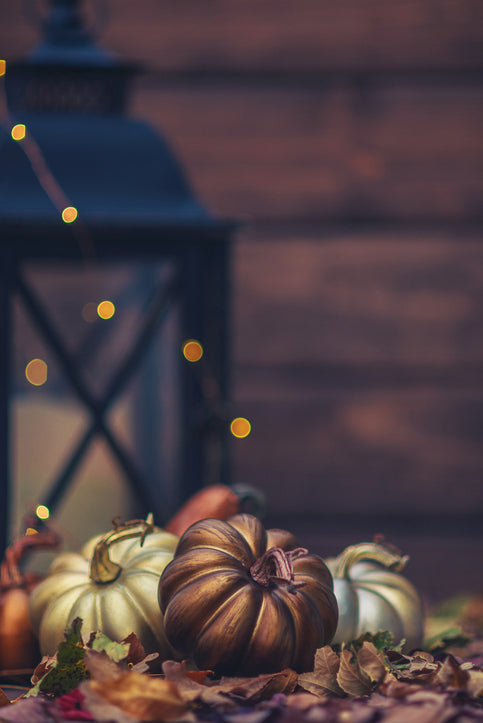 Fall-Into-Fall Lapin Luxuries