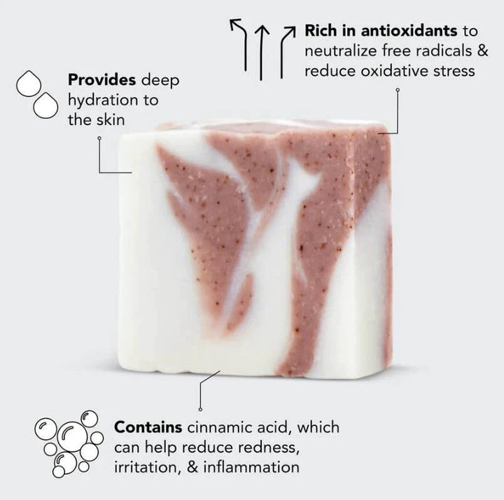 Shea Butter Exfoliating Body Wash KITSCH