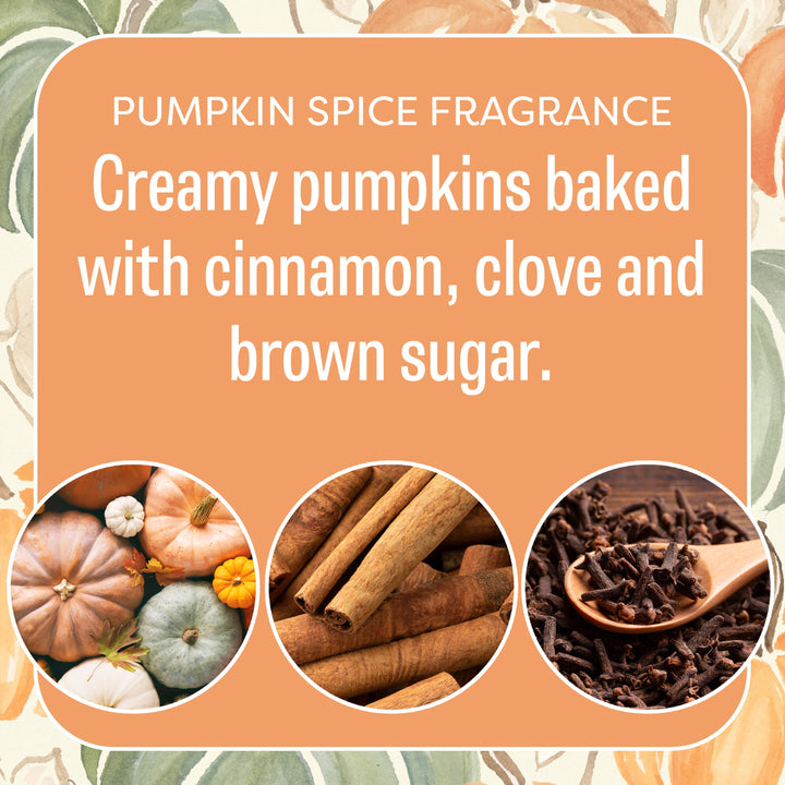 Fresh Scents | Spiced Pumpkin Sachets | Fall, Halloween
