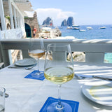 Cotton Cocktail Napkin Roll - Summer Dreaming White "Cheers" Entertaining Essentials