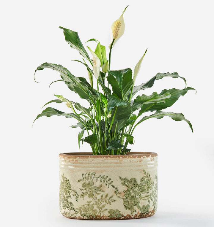 Stoneware Oval Botanical Planter