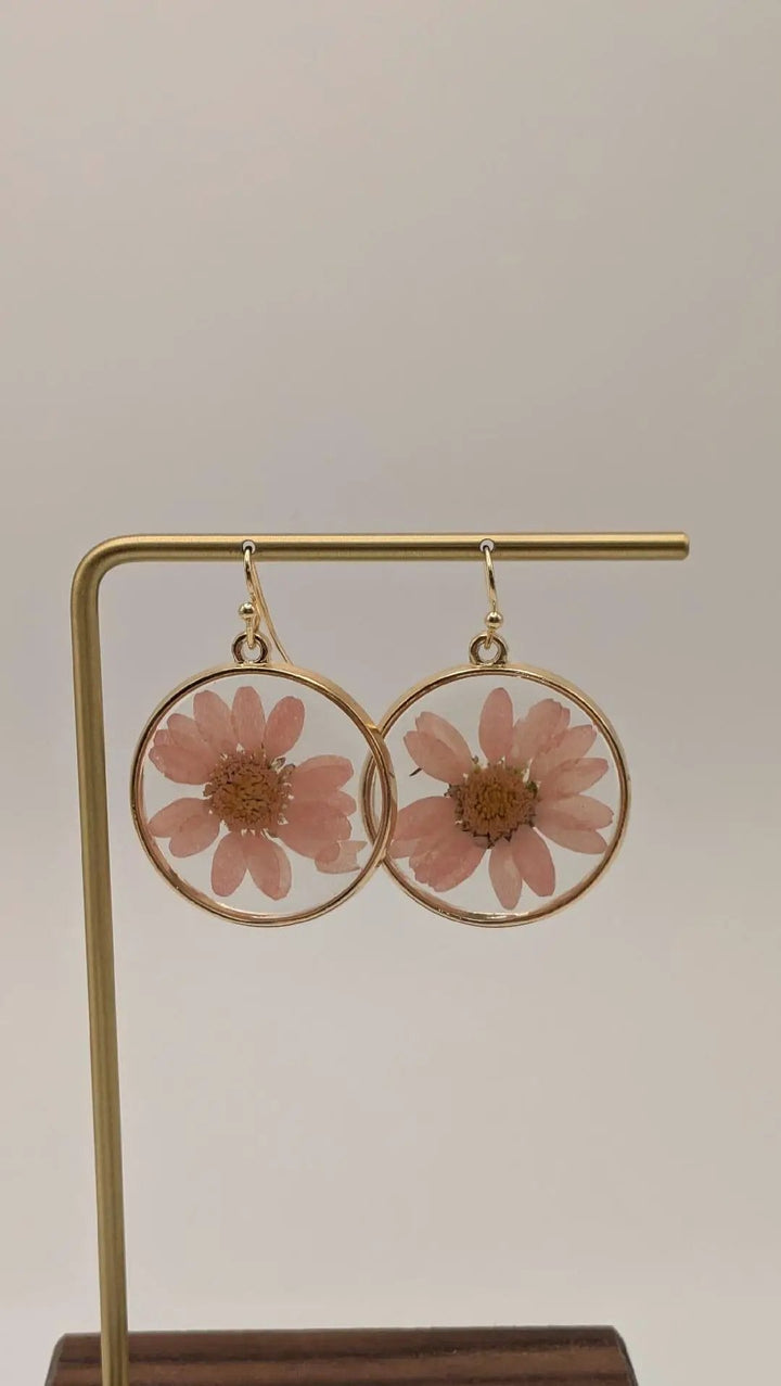 Pink Chrysanthemum Dried Flower Earrings ZAD